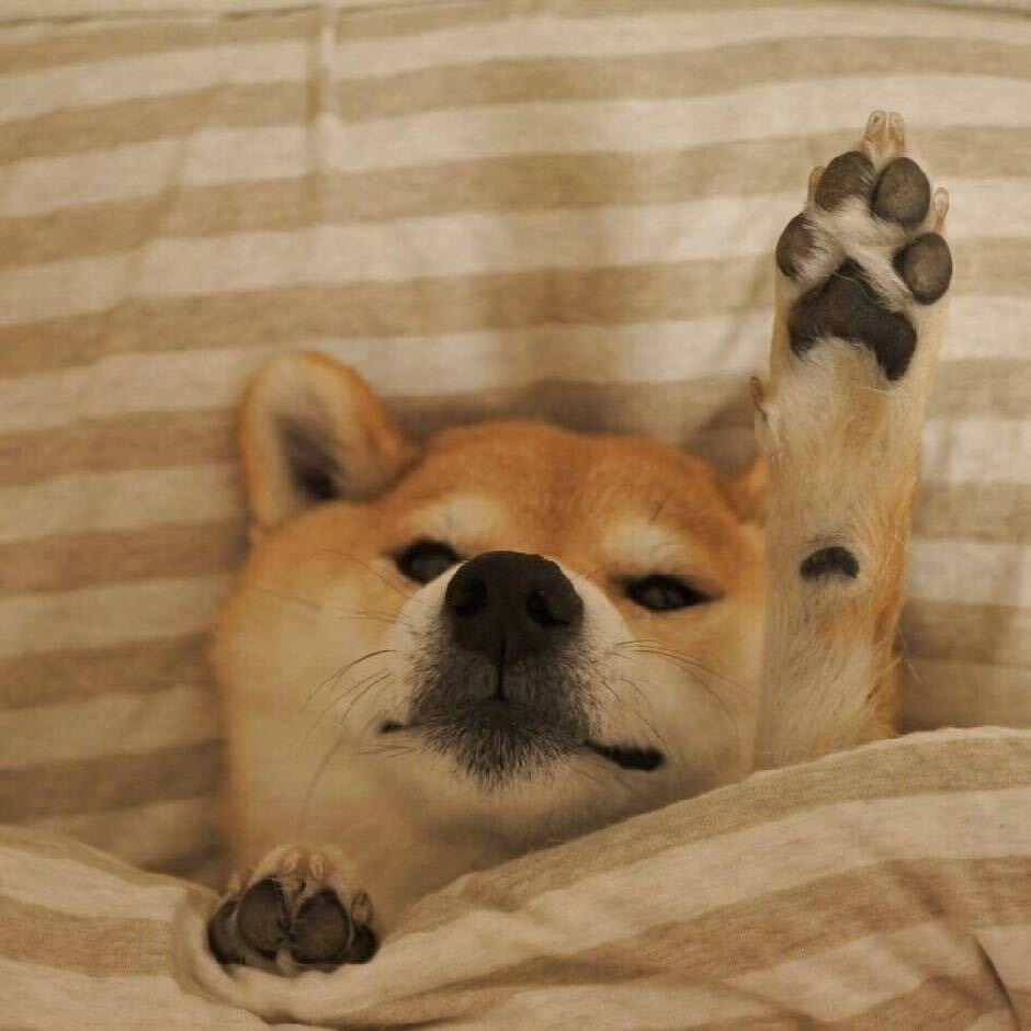 微信头像